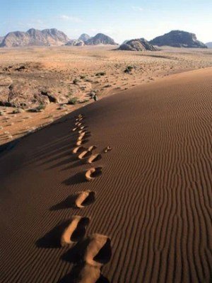 Are you ready to walk into the desert?