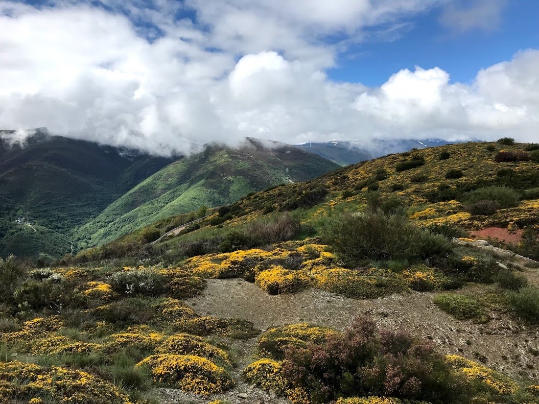 Camino de Santiago