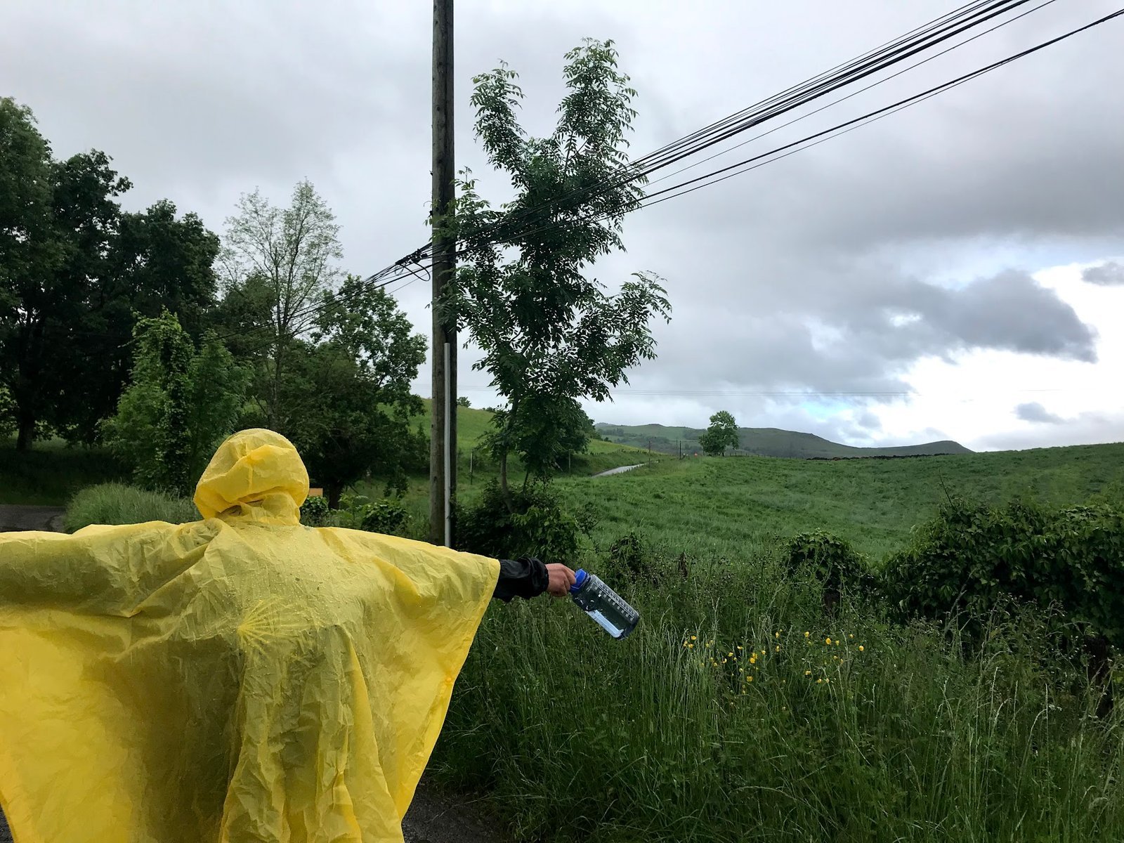 On my way … The Camino de Santiago