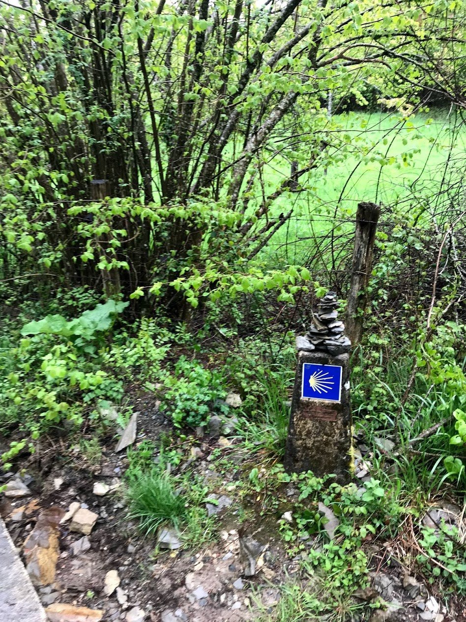 On my way … Day 2 Roncesvalles to Zubiri