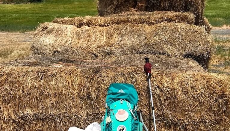 On my way … Day 6  Ayegui to Los Arcos