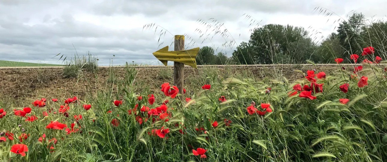 On my way … Day 16 …Fromista to Carrion de los Condes