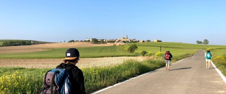 On my way … Day 7 – Los Arcos to Logroño