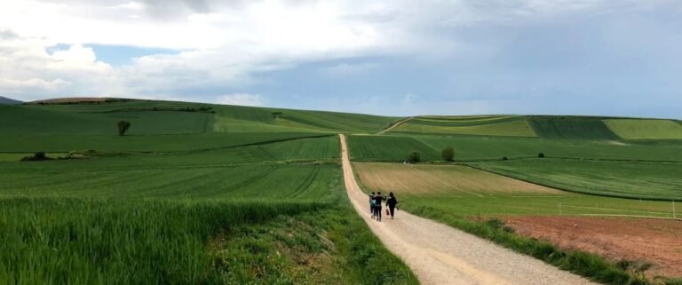 On my way … Day 9 Ventosa to Santo Domingo