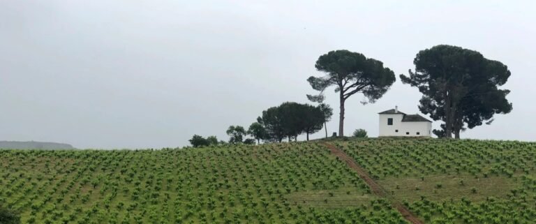 On my way … Day 26 … Molinaseca to Villafranca del Bierzo