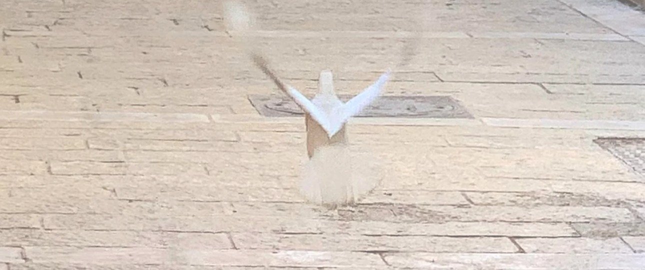 The Gift of the Spirit